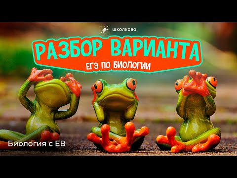 Видео: Разбор варианта ЕГЭ по биологии 2024