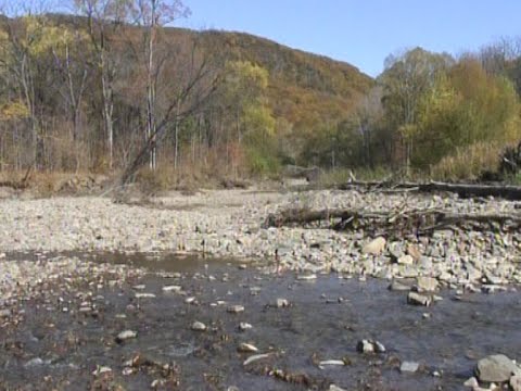 Видео: Владивосток. "Танго ОСЕНЬ". Камерный оркестр Пушкинского театра.