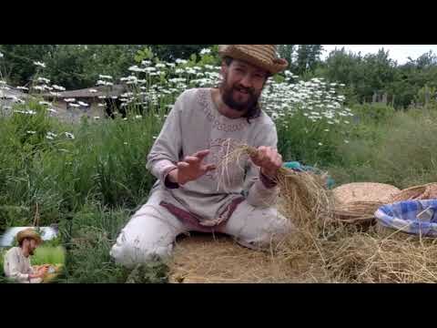 Видео: Мастер-класс по волшебному травоплетению
