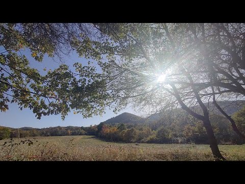 Видео: Обуйте си удобни обувки, отиваме на разходка!