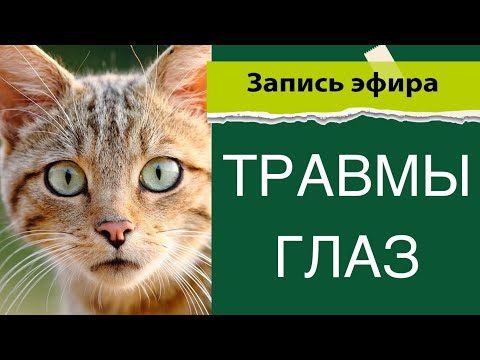 Видео: Травмы глаз