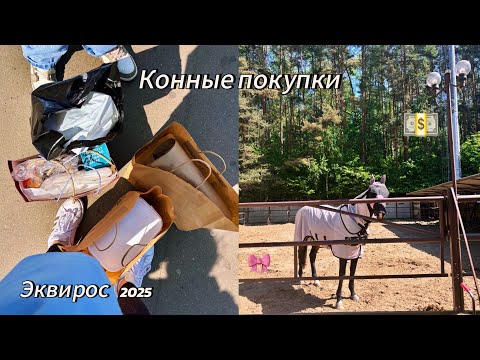 Видео: Распаковка конных посылок 3 // Эквирос 2025 // конные покупки весна-лето 
