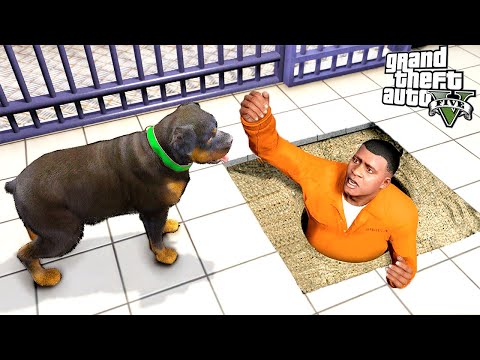 Видео: ЧОПА ПОСАДИЛИ В ТЮРЬМУ! Спасаем его! ► GTA 5 (Моды ГТА 5)
