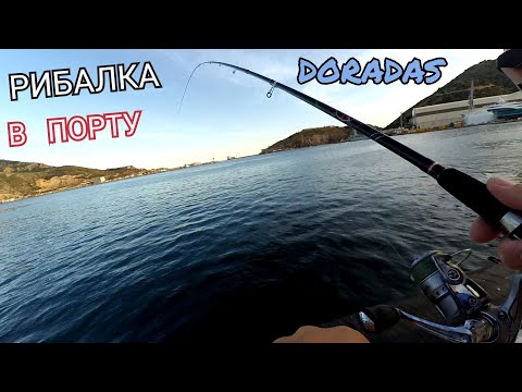 Видео: ЛОВЛЯ ДОРАДИ (DORADAS)  В ПОРТУ НА ДОНКИ  НА КРИВЕТКИ.  (LANGUSTINO).