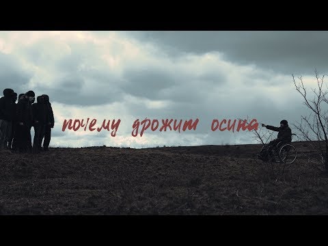 Видео: Рем Дигга - почему дрожит осина