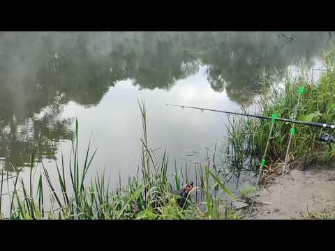 Видео: Рыбалка в Ивановке