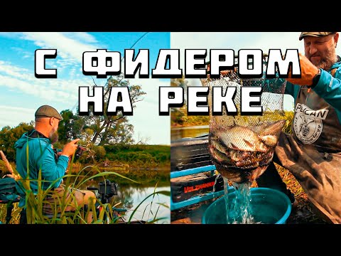 Видео: В ЭТОЙ РЕКЕ КУЧА РЫБЫ! КАК ПОЙМАТЬ ЛЕЩА И ЩУКУ ОДНОВРЕМЕННО? Универсальный фидер.
