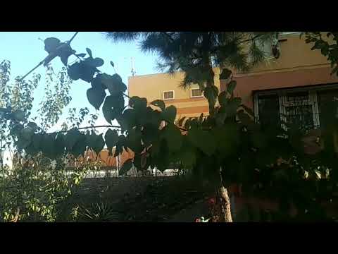 Видео: Fergana.  ВАТНАЯ   напротив