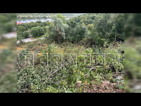 Видео: Владелец элитной земли, ради красивого вида из окна, вырубил сотни деревьев на склоне Волги