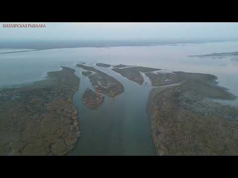 Видео: ПЕРВЫЙ ВЫЕЗД  В ЭТОМ ГОДУ НА САЗАНА , РЫЖИЙ НАЧАЛ ПРОСЫПАТЬСЯ. УБРАЛ МУСОР НА ТЕРРИТОРИИ.