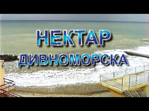 Видео: Нектар Дивноморска - фильм о фестивале Садху-Санга на Черном море | Nectar of Divnomorsk | 2002 г.