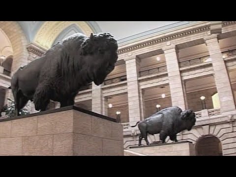 Видео: Что? Где? Когда? Вопрос о бизонах в здании правительства