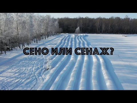 Видео: Сено или сенаж - выбираем!