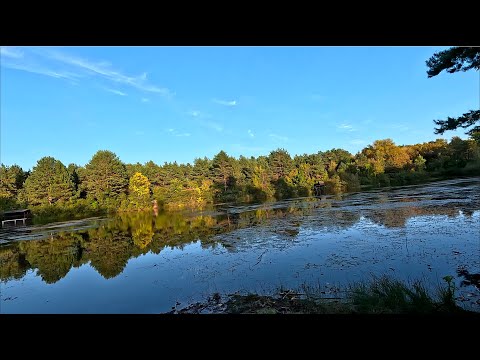 Видео: Стежкою активного відпочинку Труханів трейл - Yellow