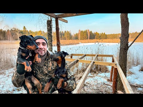 Видео: Строю двух этажный дом на дереве. Сделал первый этаж