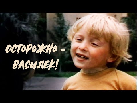 Видео: Осторожно - Василек! (1985) | Фильм для семейного просмотра
