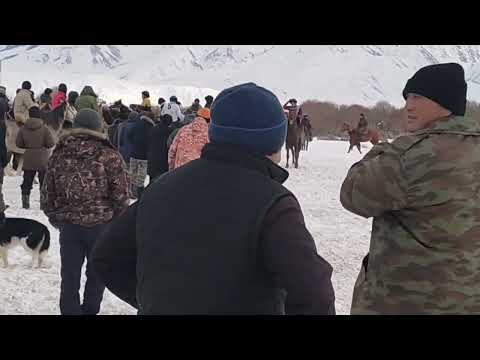 Видео: Кок бору. Суусамыр
