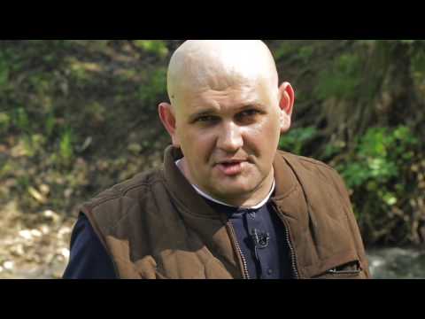 Видео: Оленина