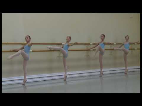 Видео: 2\6 класс 1часть