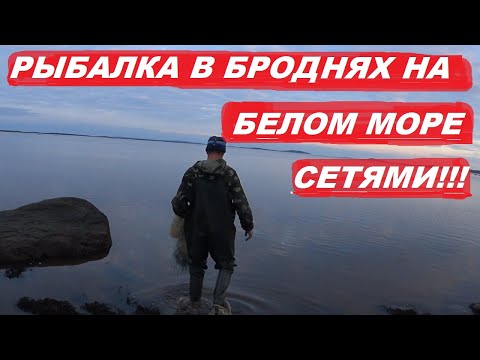 Видео: АРКТИКА | РЫБАЛКА НА КОЛЕНКАХ В БРОДНЯХ | СЕТКИ НА КОЛЫ/СЕВЕР БЕЛОГО МОРЯ!