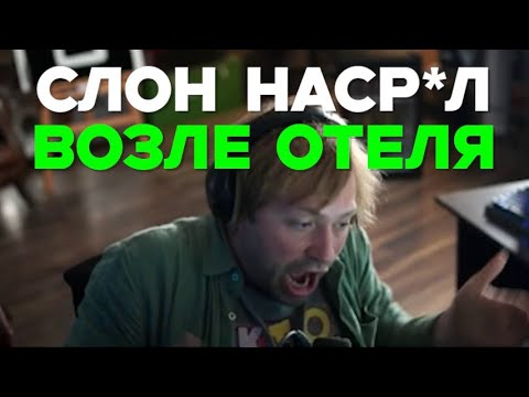 Видео: Как НС отдыхал в АФРИКЕ