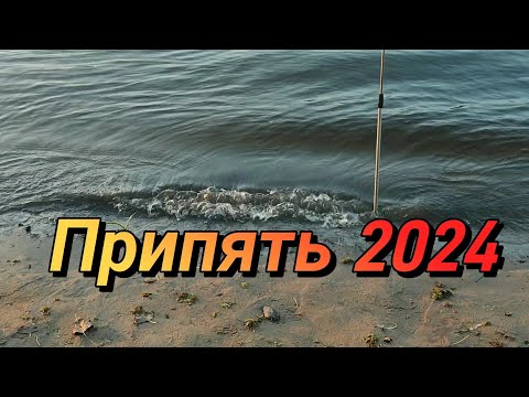 Видео: Припять 2024. Рыбалка и отдых  на Припяти.