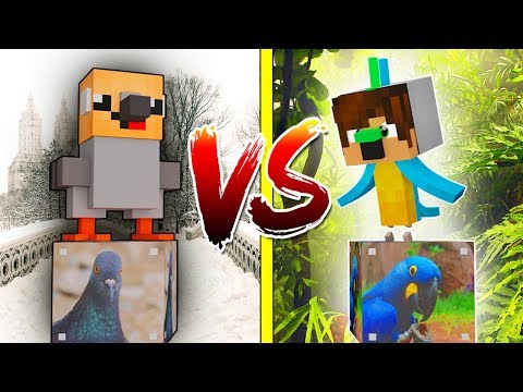 Видео: ГОЛУБЬ ЛАКИ БЛОК VS ПОПУГАЙ ЛАКИ БЛОК! НУБ ПРОТИВ ПРО! ВЫЖИТЬ НА 1 БЛОКЕ! #89