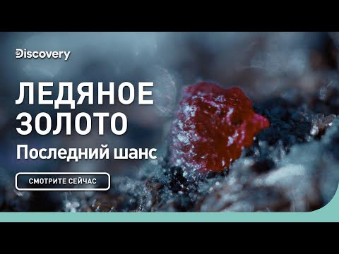 Видео: Последний шанс  | Ледяное золото | Discovery