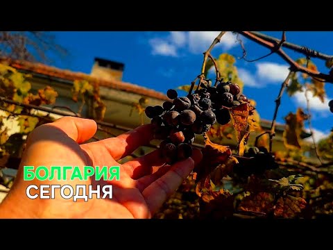 Видео: Жизнь в Болгарии.