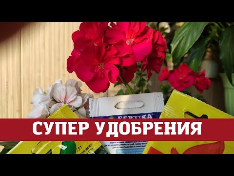 Видео: Четыре лучших удобрений для герани