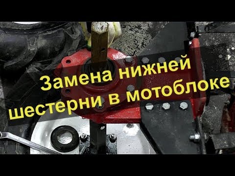 Видео: Замена нижней шестерни в китайском мотоблоке