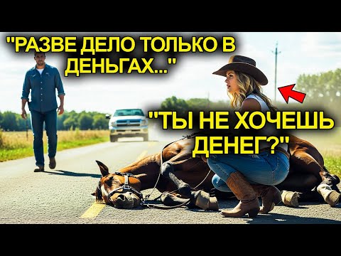 Видео: Бедный Фермер Спас Лошадь Богатой Хозяйки…И Перевернул Её Прежнюю Жизнь