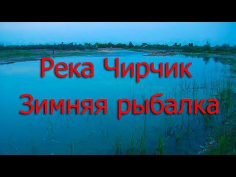 Видео: зимняя рыбалка на реке Чирчик Узбекистан.