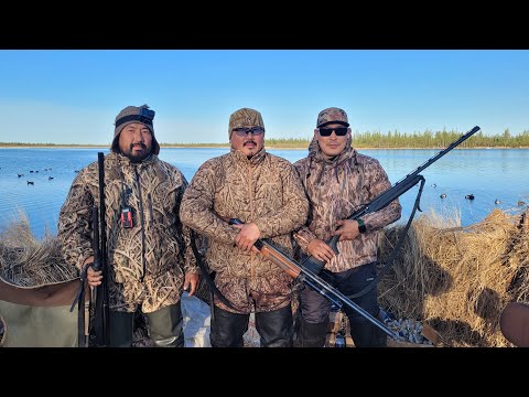Видео: ОХОТА НА ТУРПАНА НА КОЛЫМЕ 2023. 1 СЕРИЯ. HUNTING FOR VELVET SCOTER IN SIBERIA. KOLYMA. PART 1