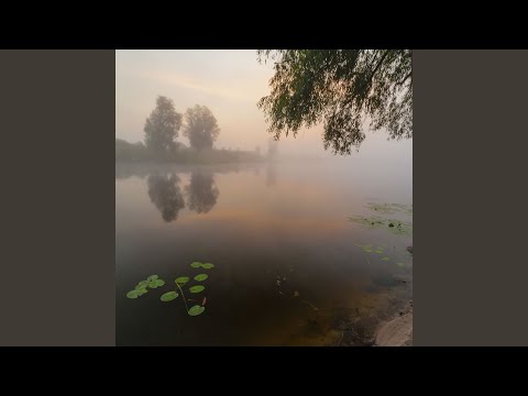 Видео: Родной CRY