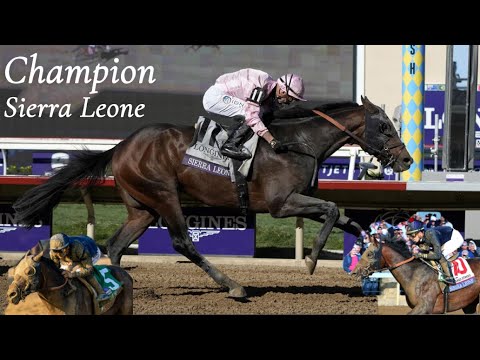 Видео: СЬЕРРА-ЛЕОНЕ — настоящий чемпион