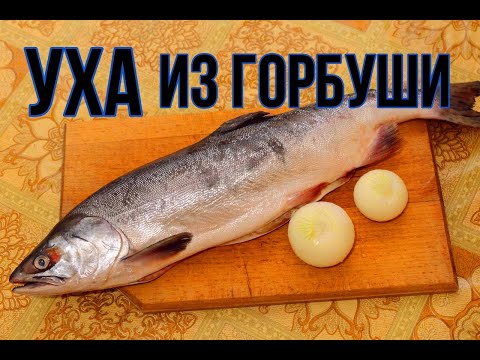 Видео: Как приготовить рыбный суп/классическая уха из горбуши