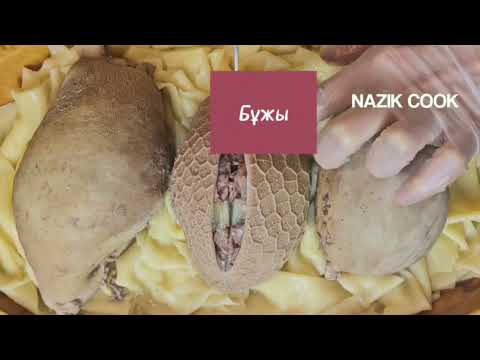 Видео: Ұлттық Тағам Бұжының 3 түрі. Бужы Блюдо которое удивит. Boozhy. Шыж Мыж