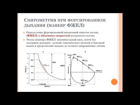 Видео: Киреева А.Ю. "Спирометрия" Часть 1 (04.10.2023)