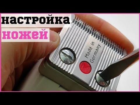 Видео: Как правильно настроить машинку для стрижки / Выставление и регулировка хода ножей, ножевого блока.