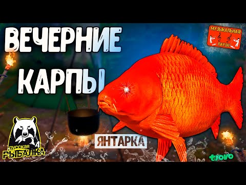 Видео: 🔴Янтарное озеро, карповая ловля и фарм . РУССКАЯ РЫБАЛКА 4