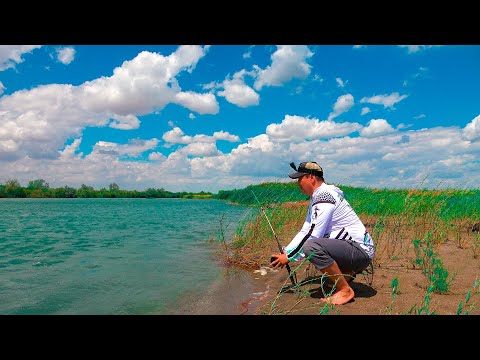 Видео: ЧТО ПРОИСХОДИТ с рекой ИЛИ ??? Разведка нового острова для рыбалки в МИЯЛЫ, август 2025