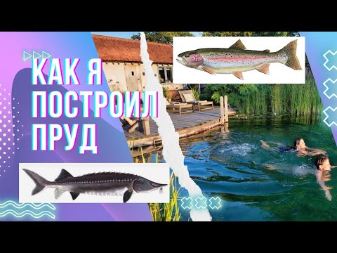Видео: Построил бюджетно пруд для рыбы и купания