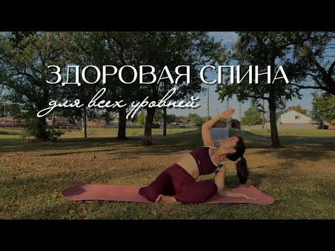 Видео: ЗДОРОВАЯ СПИНА | 30 минут | акцент на мобилизации позвоночника