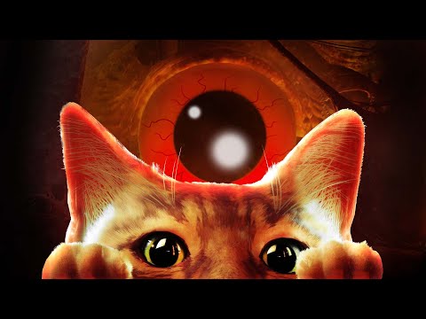 Видео: ВСЕ ЛЮБЯТ СМОТРЕТЬ НА КОТИКА в Stray