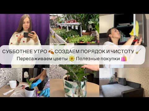 Видео: СУББОТНЕЕ УТРО 🍂 СОЗДАЕМ ПОРЯДОК И ЧИСТОТУ 🧹 ПЕРЕСАЖИВАЕМ ЦВЕТЫ 🌼 ПОЛЕЗНЫЕ ПОКУПКИ 🛍️