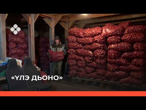 Видео: «Үлэ дьоно» (06.12.21)