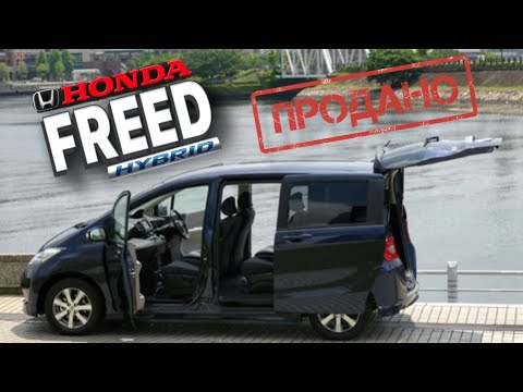 Видео: Фрид продан, как и все остальное, ради чего?!!!