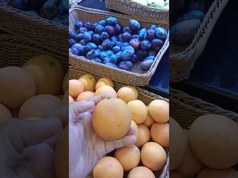 Видео: Fun&Sun family club sapphire. Обзор завтрака. Часть 1. Август 2024го