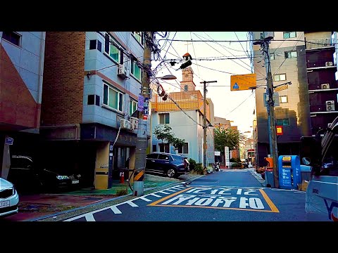 Видео: Прогулка по тихой Сеульской аллее ранним утром